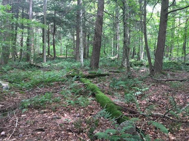 1656 Frost Valley Rd, Claryville, NY 12725