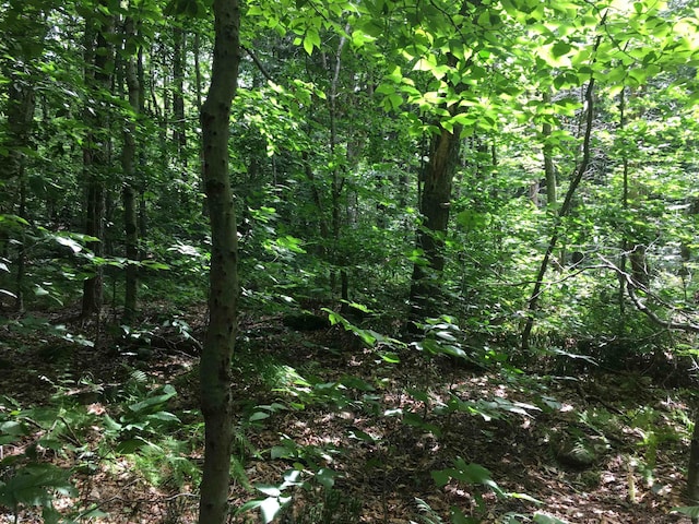 1656 Frost Valley Rd, Claryville, NY 12725