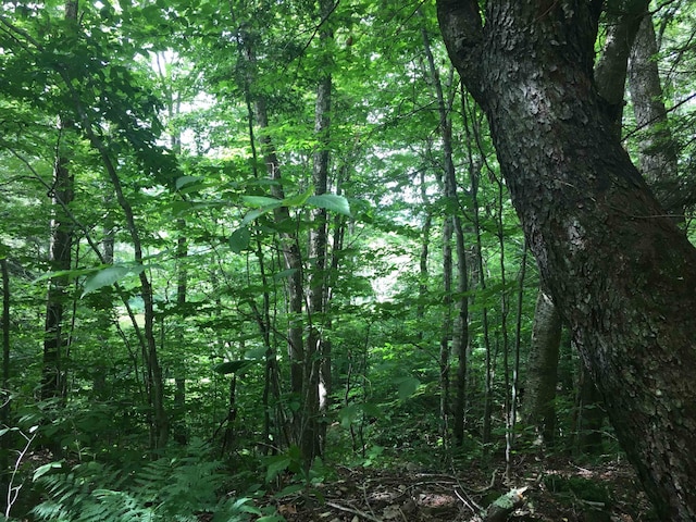 1656 Frost Valley Rd, Claryville, NY 12725