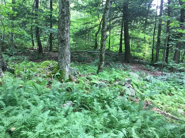 1656 Frost Valley Rd, Claryville, NY 12725