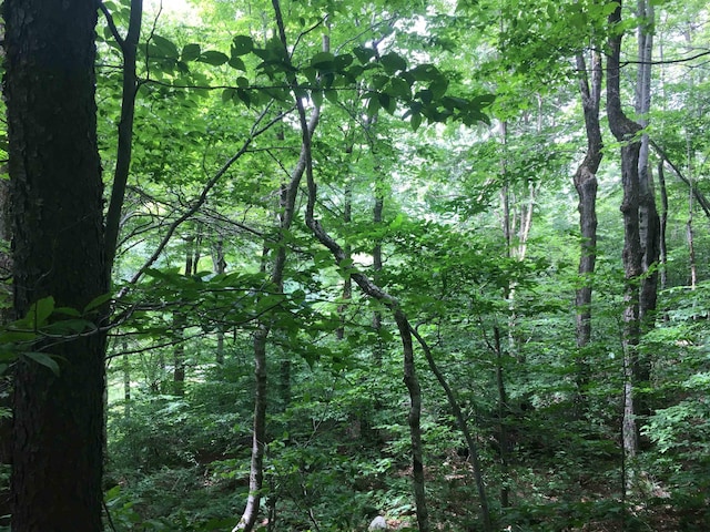 1656 Frost Valley Rd, Claryville, NY 12725