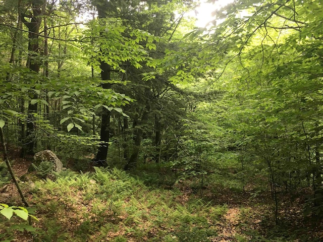 1656 Frost Valley Rd, Claryville, NY 12725
