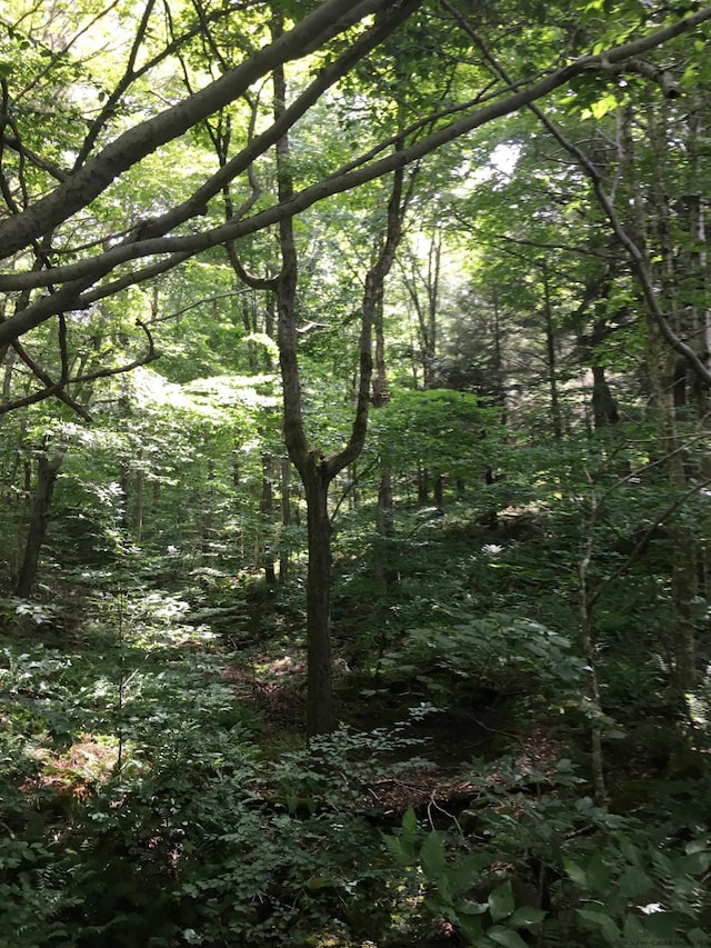 1656 Frost Valley Rd, Claryville, NY 12725
