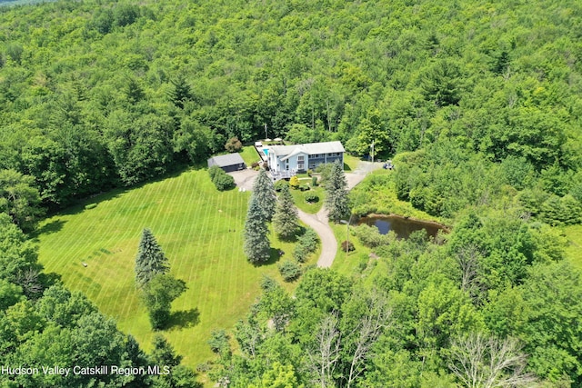 1747 Spruceton Rd, West Kill, NY 12492 - photo 36