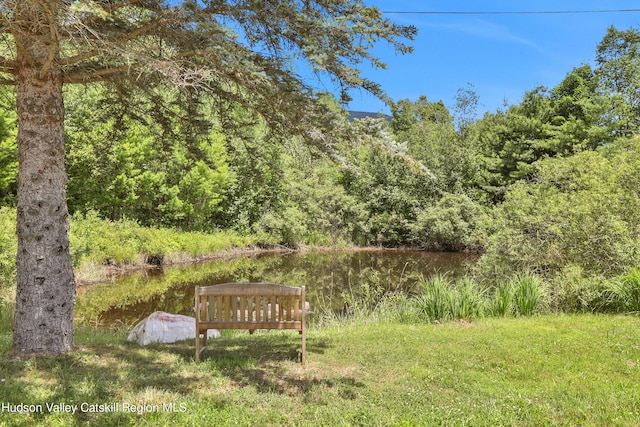 1747 Spruceton Rd, West Kill, NY 12492 - photo 32