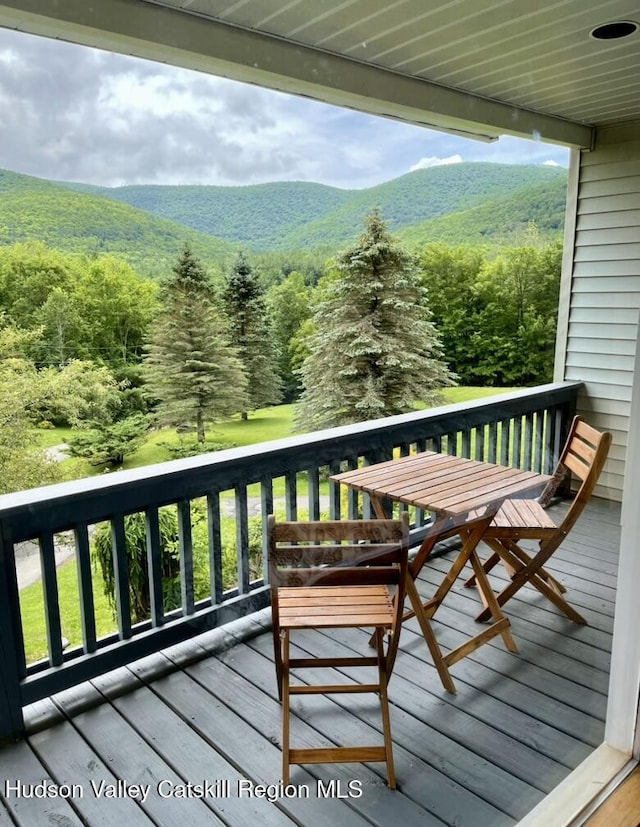 1747 Spruceton Rd, West Kill, NY 12492 - photo 5