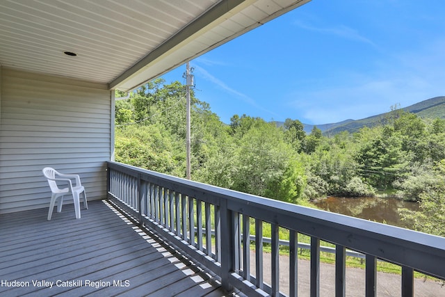 1747 Spruceton Rd, West Kill, NY 12492 - photo 31