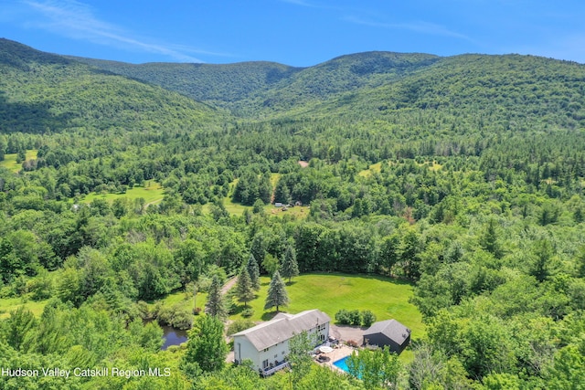 1747 Spruceton Rd, West Kill, NY 12492 - photo 1