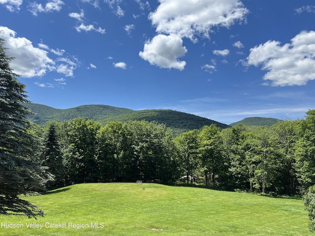 1747 Spruceton Rd, West Kill, NY 12492 - photo 39