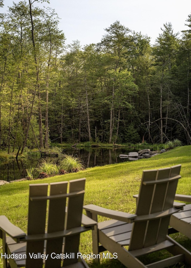 245 Brown Rd, Olivebridge, NY 12461 - view of grassy yard with a wooded view and a water view