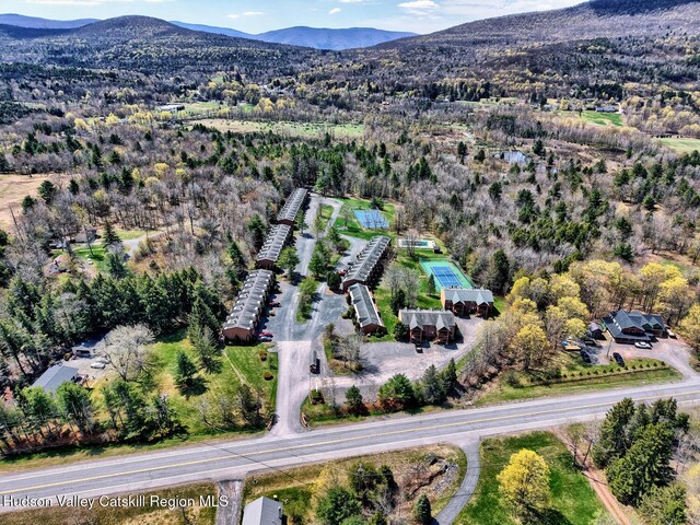 65 Quads Way, Windham, NY 12496 - photo 58
