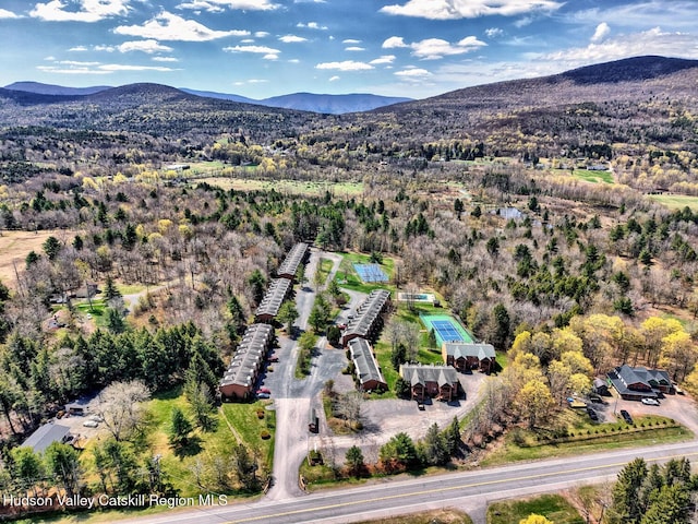 65 Quads Way, Windham, NY 12496 - photo 59