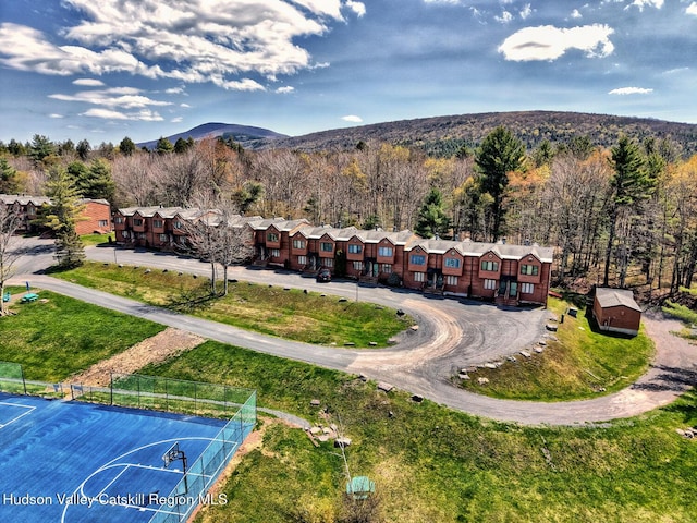 65 Quads Way, Windham, NY 12496 - photo 1