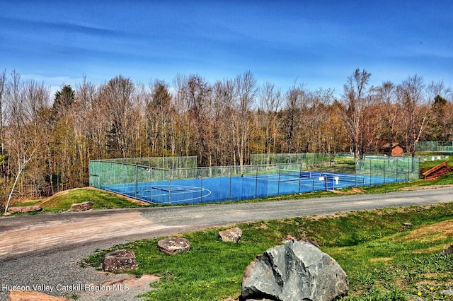 65 Quads Way, Windham, NY 12496 - photo 45