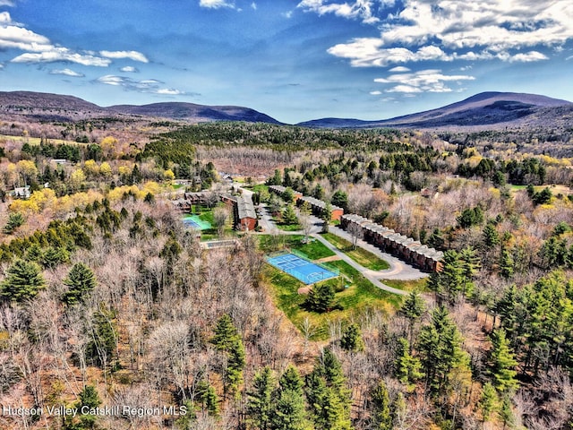 65 Quads Way, Windham, NY 12496 - photo 57