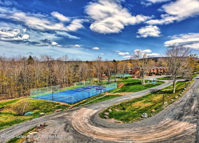 65 Quads Way, Windham, NY 12496 - photo 13