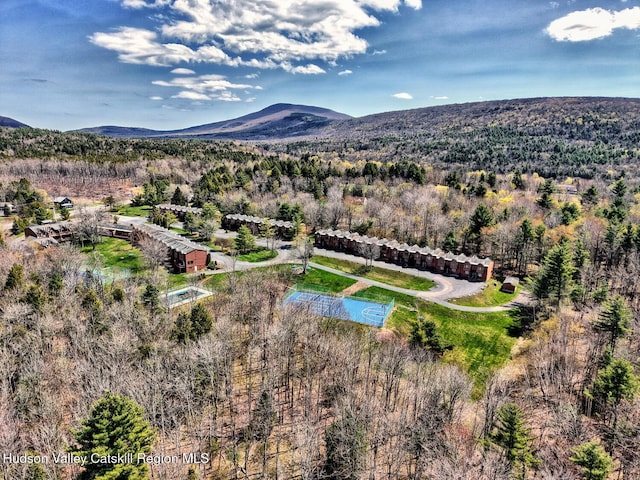 65 Quads Way, Windham, NY 12496 - photo 3