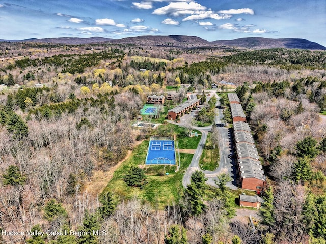 65 Quads Way, Windham, NY 12496 - photo 4