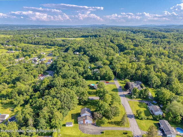 135 Hilltop Rd, Saugerties, NY 12477 - photo 46
