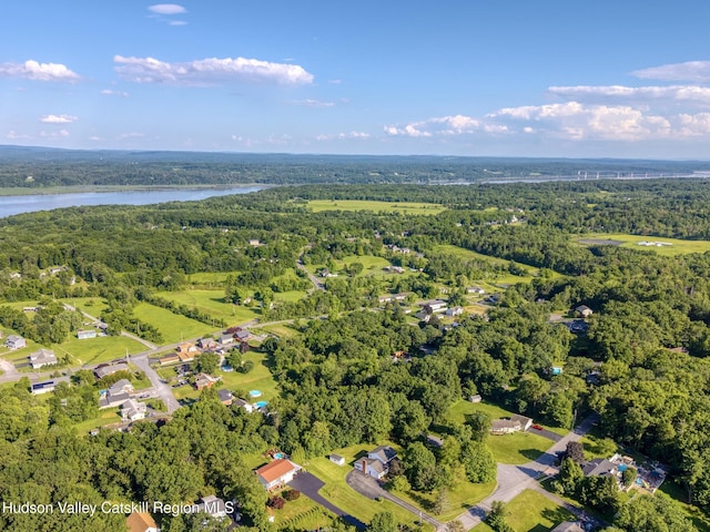 135 Hilltop Rd, Saugerties, NY 12477 - photo 47