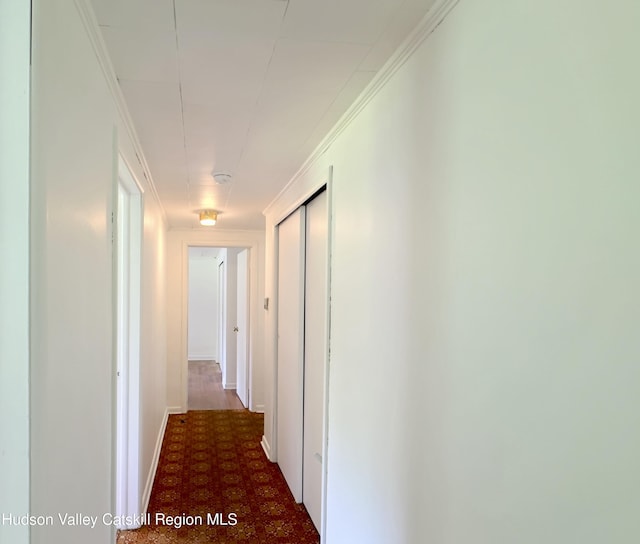 13 Birk St, Acra, NY 12405 - corridor with baseboards