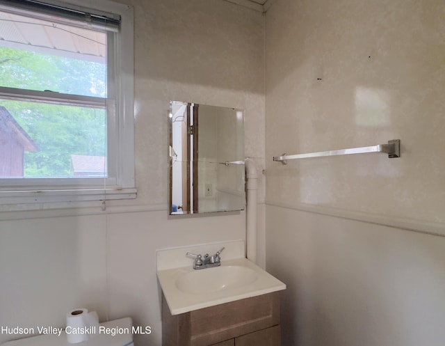 13 Birk St, Acra, NY 12405 - bathroom with vanity and healthy amount of natural light