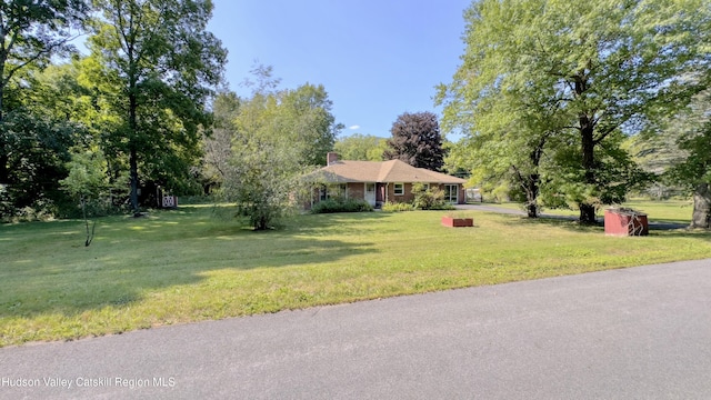 13 Birk St, Acra, NY 12405 - single story home with a front yard and view of scattered trees