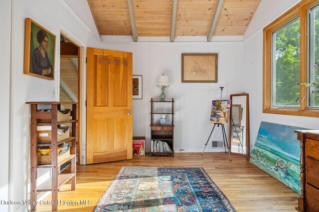 48 Cooper Hollow Rd, Woodstock, NY 12409 - photo 28