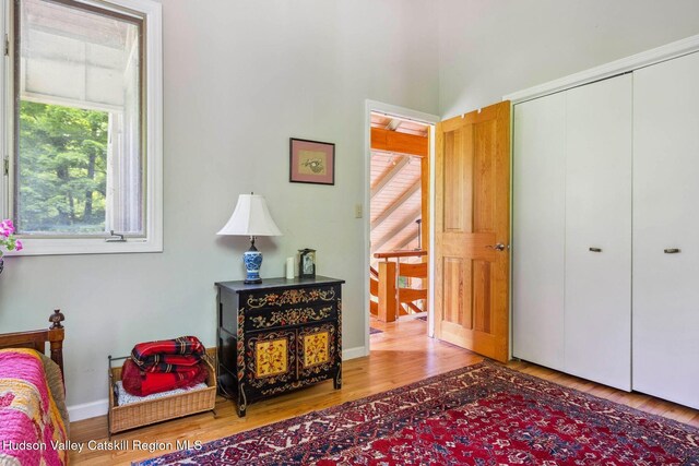 48 Cooper Hollow Rd, Woodstock, NY 12409 - photo 24