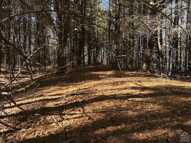 844 County Route 27, Taghkanic, NY 12502