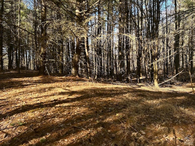 844 County Route 27, Taghkanic, NY 12502