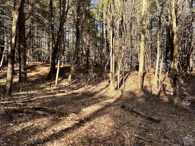 844 County Route 27, Taghkanic, NY 12502