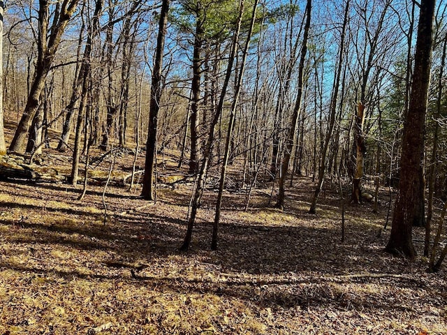 844 County Route 27, Taghkanic, NY 12502