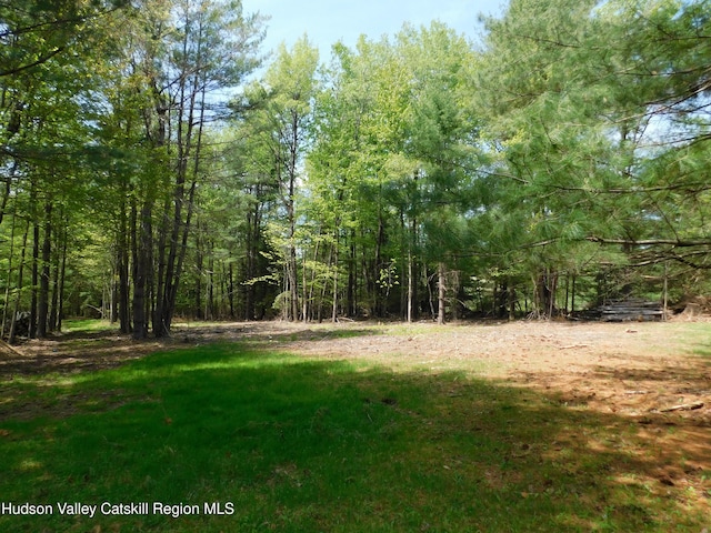 TBD Lackawack Hill Rd, Napanoch, NY 12458