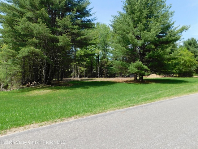 TBD Lackawack Hill Rd, Napanoch, NY 12458
