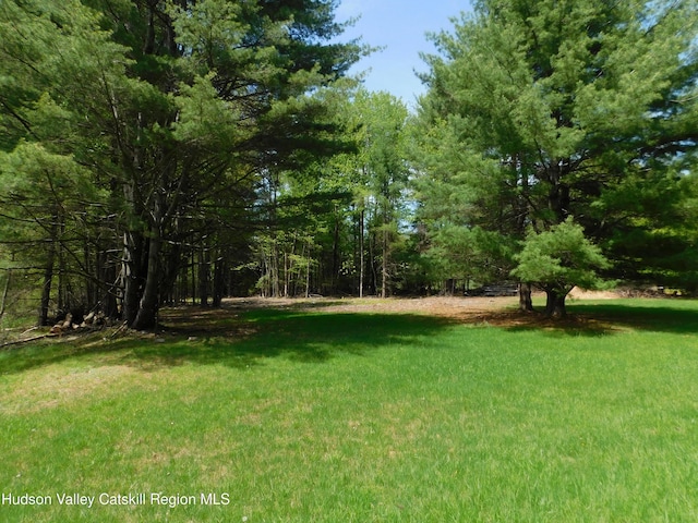 TBD Lackawack Hill Rd, Napanoch, NY 12458