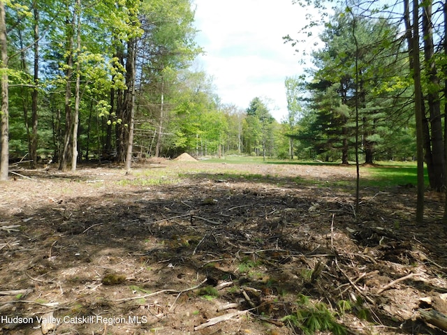 TBD Lackawack Hill Rd, Napanoch, NY 12458