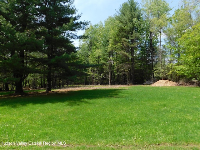 TBD Lackawack Hill Rd, Napanoch, NY 12458