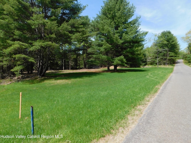 TBD Lackawack Hill Rd, Napanoch, NY 12458