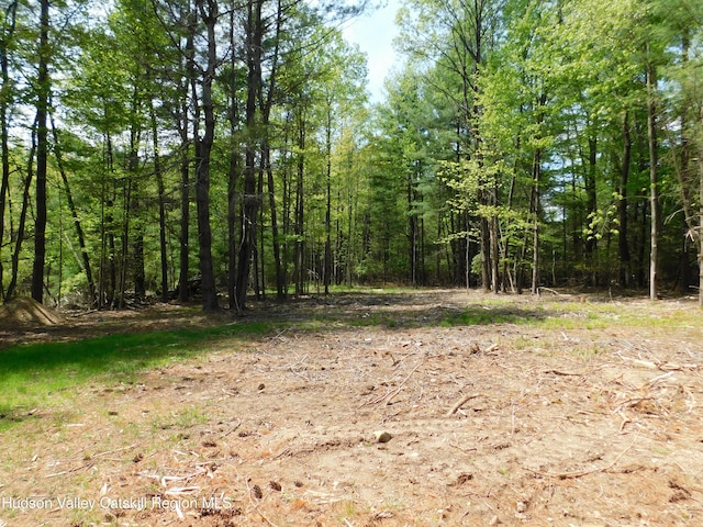 TBD Lackawack Hill Rd, Napanoch, NY 12458