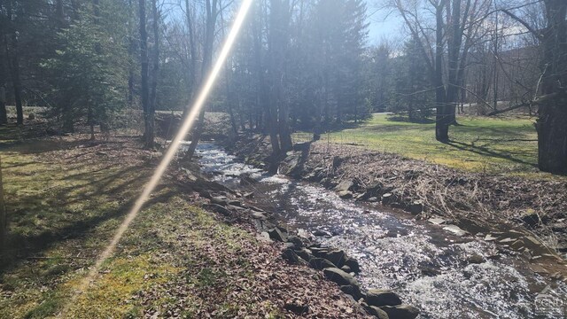 159 Toles Hollow Rd, Conesville, NY 12076 - view of tree filled area