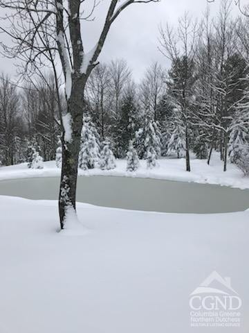 159 Toles Hollow Rd, Conesville, NY 12076 - view of surrounding community