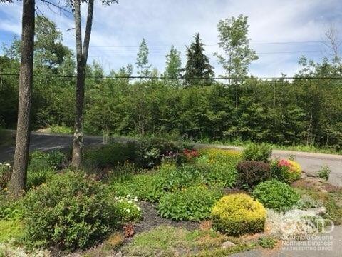 159 Toles Hollow Rd, Conesville, NY 12076 - view of yard