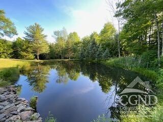 159 Toles Hollow Rd, Conesville, NY 12076 - water view featuring a heavily wooded area