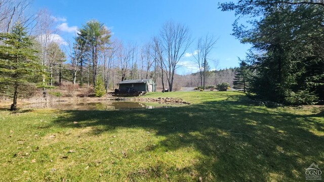 159 Toles Hollow Rd, Conesville, NY 12076 - view of grassy yard