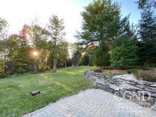 159 Toles Hollow Rd, Conesville, NY 12076 - view of green lawn with a patio