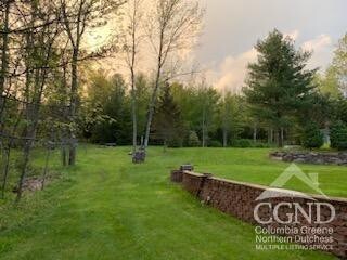 159 Toles Hollow Rd, Conesville, NY 12076 - view of property's community with a yard