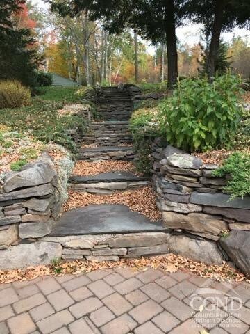 159 Toles Hollow Rd, Conesville, NY 12076 - view of yard