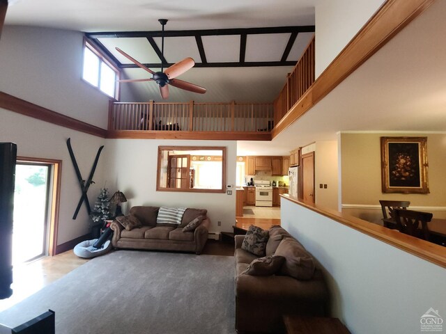 159 Toles Hollow Rd, Conesville, NY 12076 - living area with a high ceiling, a ceiling fan, light wood-type flooring, a baseboard radiator, and baseboards
