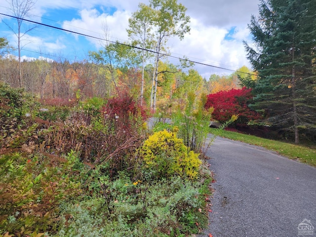 159 Toles Hollow Rd, Conesville, NY 12076 - view of street with a wooded view